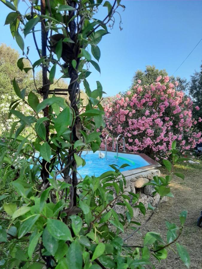 Villa Giuseppina Bonifacio  Εξωτερικό φωτογραφία